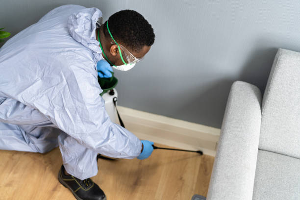 Best Residential Pest Control  in Mission, KS